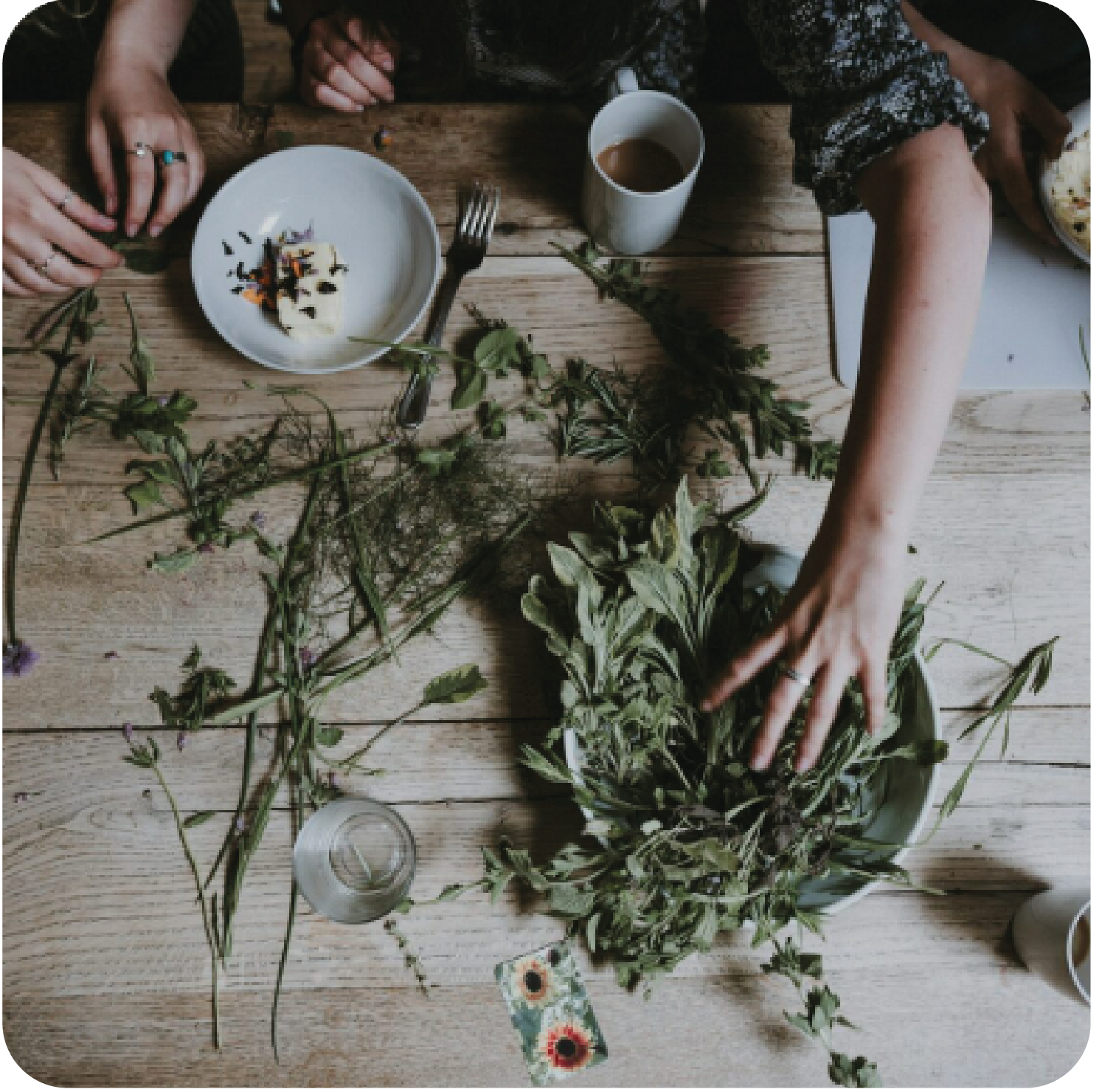 Экологичность